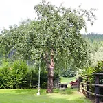 Sverana דירה Velké Karlovice