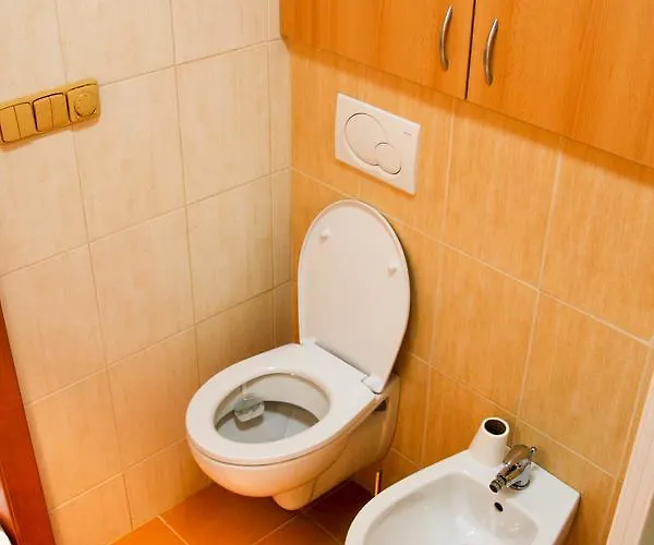 Sverana Διαμέρισμα Velké Karlovice